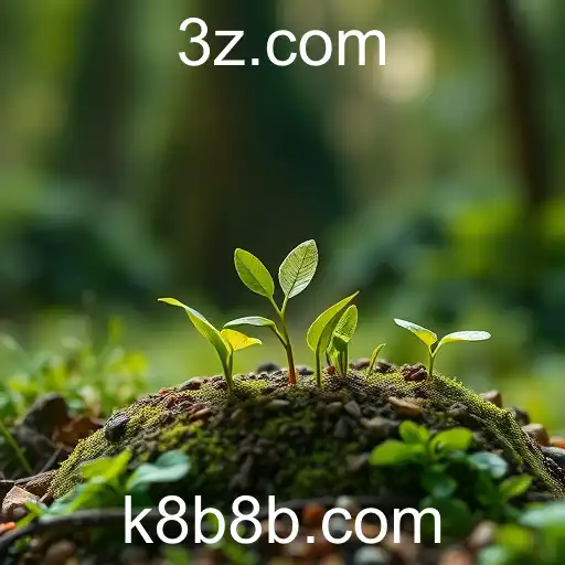 A Evolução do k8B e os Desafios para 2025